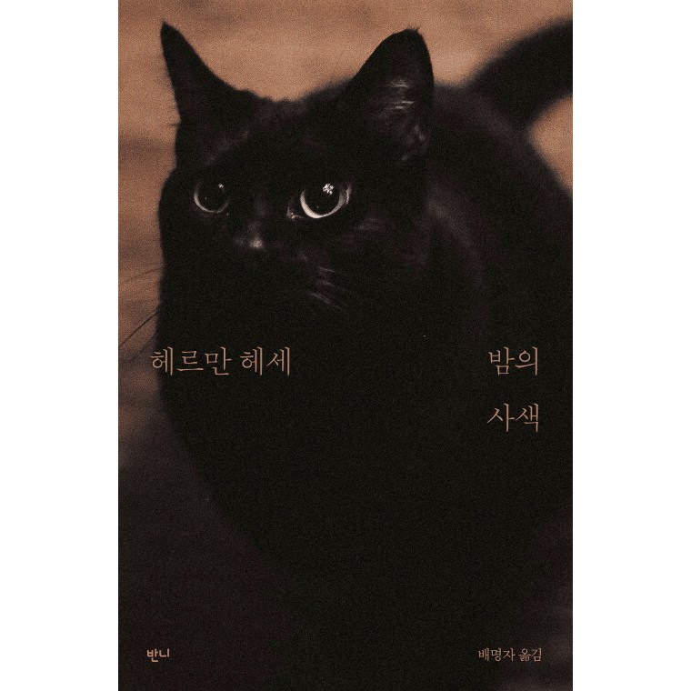 사색의 인기 아이템 10가지 추천! 지금 확인하세요!