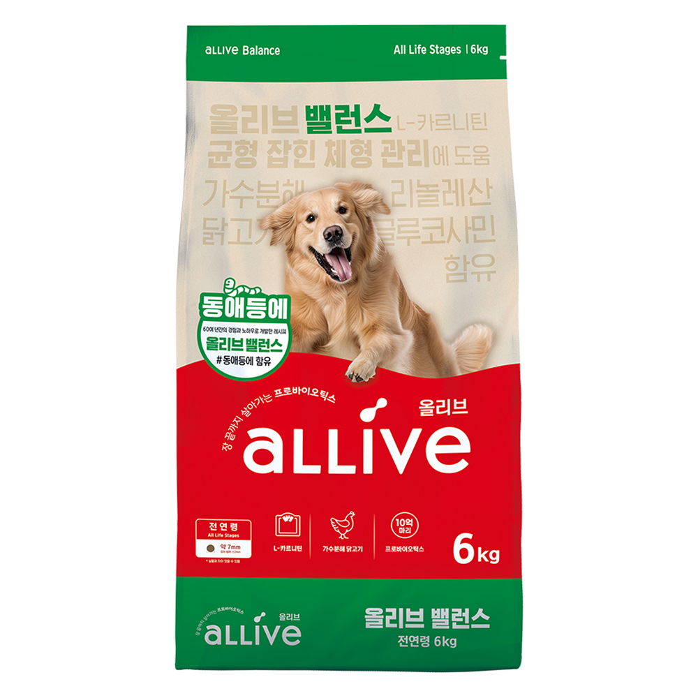 강아지사료 인기 추천! 10가지 필수 선택!
